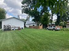 Spring clean up - Photo 9