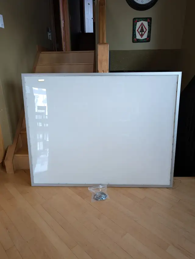 Like New Large Frame With Archival Plexiglass