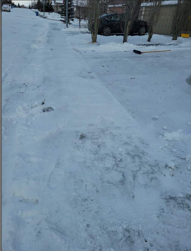 Alert: Snow Removal Scammer 250 266 2738