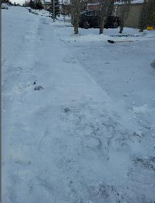 Alert: Snow Removal Scammer 250 266 2738