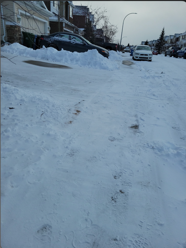 Alert: Snow Removal Scammer 250 266 2738 - Photo 2