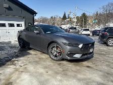 2025 Ford Mustang EcoBoost Premium ECOBOOST PREMIUM - Photo 7