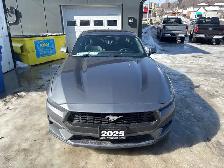 2025 Ford Mustang EcoBoost Premium ECOBOOST PREMIUM - Photo 8