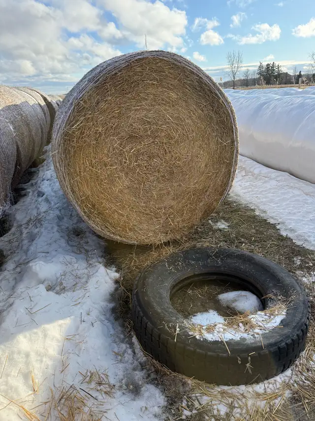 Straw round bales