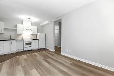 Beautiful renovated unit in Downtown Ottawa!