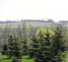 Bare acreage lot For Sale in Meadowbrook Views at Gull Lake - Photo 5