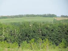 Bare acreage lot For Sale in Meadowbrook Views at Gull Lake - Photo 6