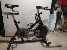 Spin Bike Delta Pro Bike