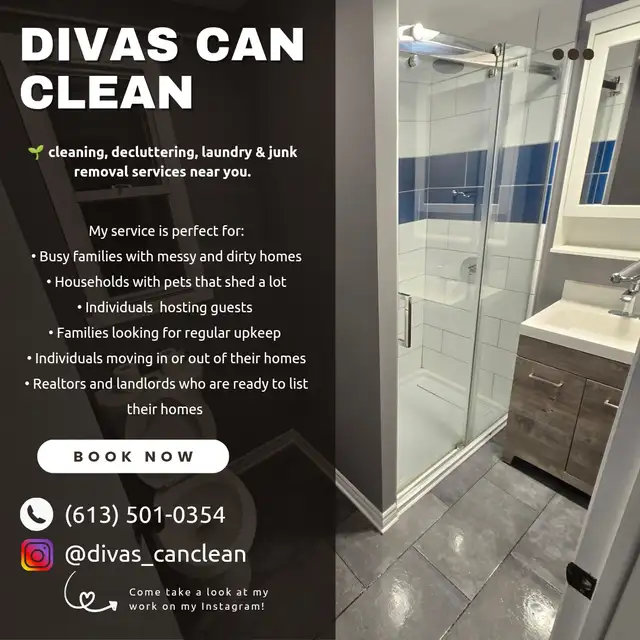 SPRING CLEANING LADY (613) 501-0354