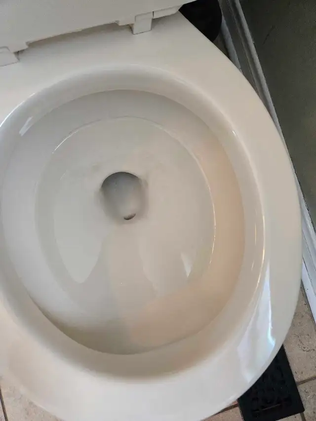 SPRING CLEANING LADY (613) 501-0354 - Photo 8