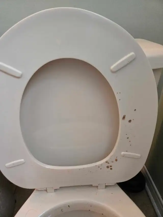 DEEP CLEANING SERVICES (613) 501-0354 - Photo 4