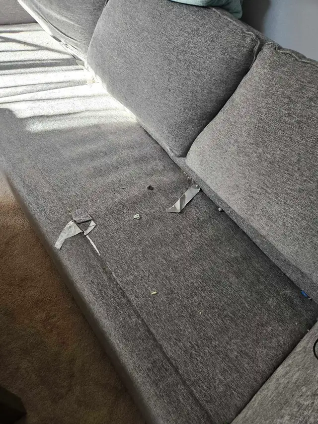 DEEP CLEANING SERVICES (613) 501-0354 - Photo 8