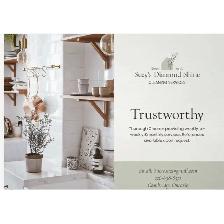 Suzys Diamond Shine Cleaning