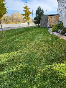 lawn mowing - Photo 2