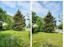 lawn mowing - Photo 3