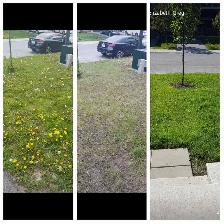 lawn mowing - Photo 4