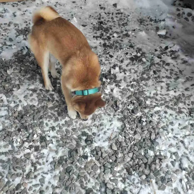 cherche un job , j'ai ma propre voiture