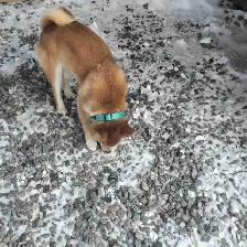 cherche un job , j'ai ma propre voiture