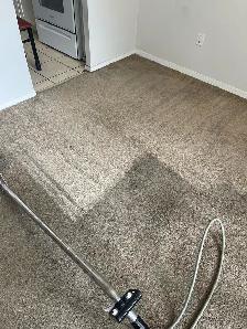 Spring Carpet Cleaning Special – Homes & Offices | $199 - Photo 2