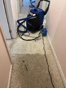 Spring Carpet Cleaning Special – Homes & Offices | $199 - Photo 3