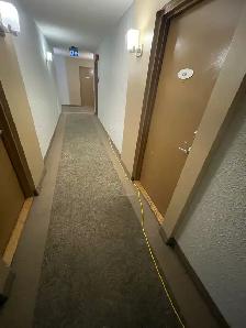 Spring Carpet Cleaning Special – Homes & Offices | $199 - Photo 10