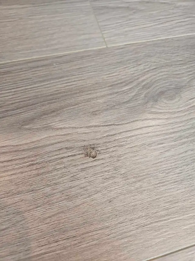 Furniture, wood and floor repairs! - Photo 3