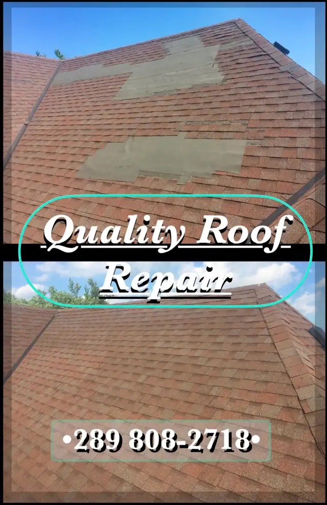 ⚡️Absolute Best Roof Repair⚡️