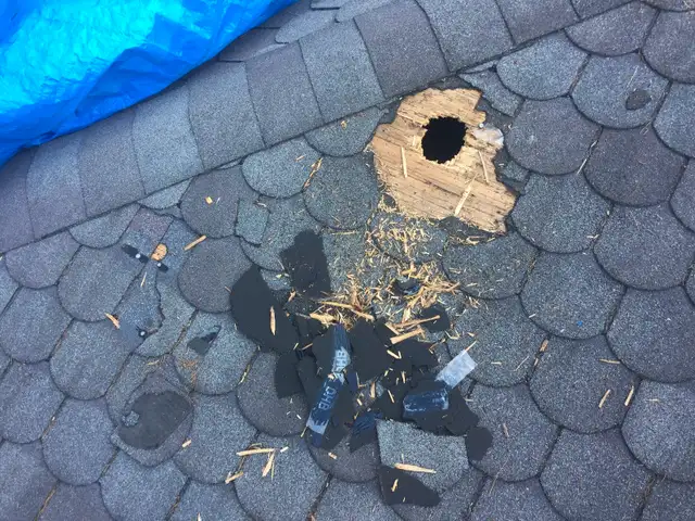 ⚡️Absolute Best Roof Repair⚡️ - Photo 4