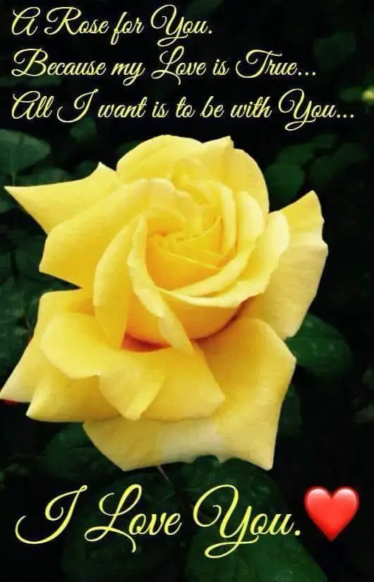 Looking For Cleaning and Assisting Seniors