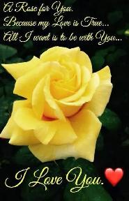 Looking For Cleaning and Assisting Seniors