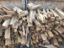 Need Tree Service? Call Easy Tree Care @ (416) 856-3603 - Photo 9