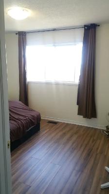 3 Bedrooms, full house for rent (16th Ave/Ninth Line) in Markham - Photo 6