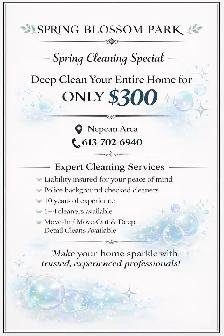 Affordable Spring House Cleaning Special