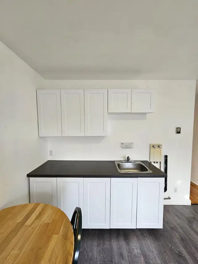 1 Bedroom For Rent 3 1/2 apartment - Rosemont Area - Photo 3