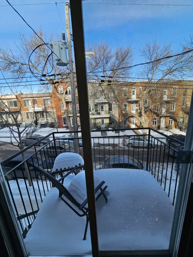 1 Bedroom For Rent 3 1/2 apartment - Rosemont Area - Photo 5