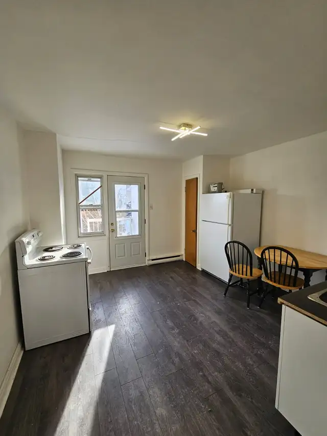 1 Bedroom For Rent 3 1/2 apartment - Rosemont Area - Photo 6