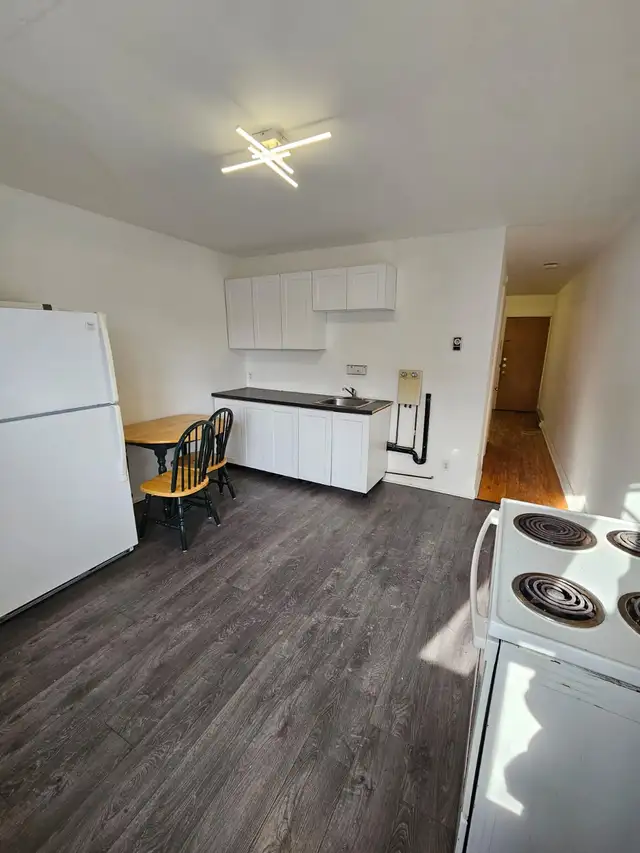 1 Bedroom For Rent 3 1/2 apartment - Rosemont Area - Photo 7