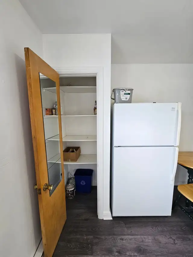 1 Bedroom For Rent 3 1/2 apartment - Rosemont Area - Photo 8