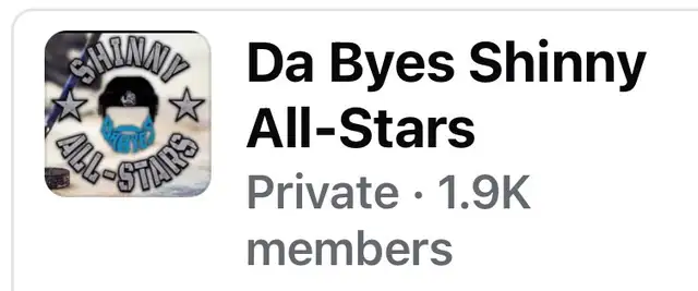 shinny hockey - Photo 3