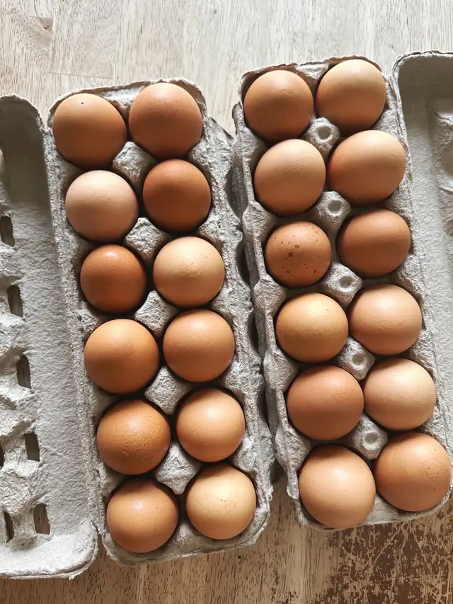 Free Range Chicken Eggs