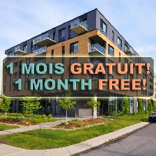 Condo Appartement à Louer Lachine 1 ✧ 2 ✧ 3 ✧ Chambres - Photo 2