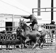 Rope Horse Training - Photo 2