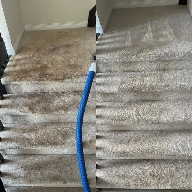 carpet, sofa, tiles and mattresses cleaning - Photo 6