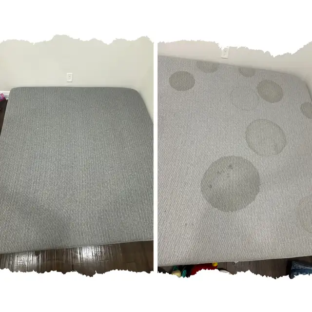 carpet, sofa, tiles and mattresses cleaning - Photo 9