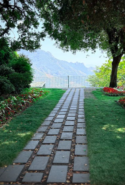 Gardening, Painting, Esmerelda Gardens - Photo 6