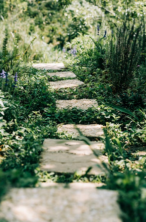 Gardening, Painting, Esmerelda Gardens - Photo 8