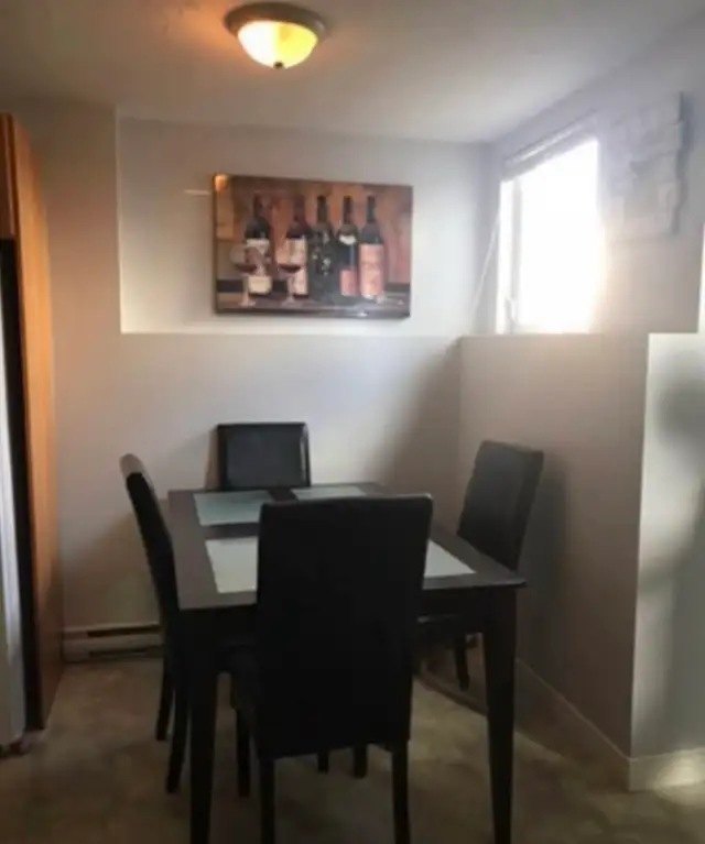 2 bedroom Basement Apartment located in North End - Photo 4