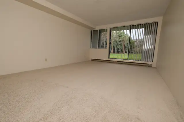 Two Bedroom Apartment Next to Transit/ Seawall - Photo 3