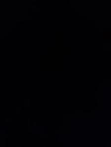 Yard Mechanic semi truck and trailer