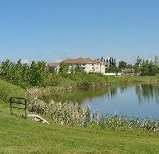 CLEAN, QUIET ADULT ONLY APARTMENTS IN WEST LETHBRIDGE